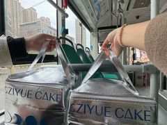 -ZIYUE CAKE线上店