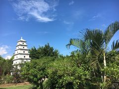 -亚龙湾国际玫瑰谷