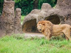 -杭州野生动物世界