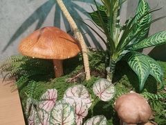 -首开·龙湖成都西宸天街