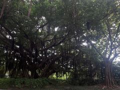 -南宁南湖公园