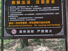 -苏州上方山国家森林公园