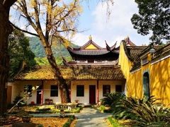 -阿育王寺