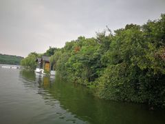 -天目湖山水园