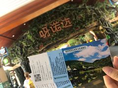 -呀诺达热带雨林