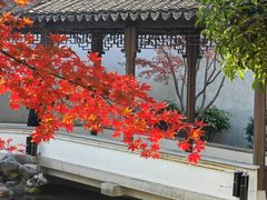-秋霞圃
