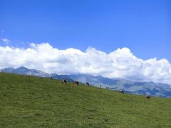 -新疆那拉提国家旅游度假区
