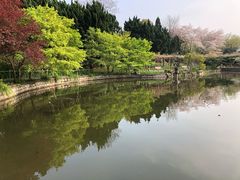 -嘉定紫藤园