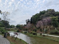 -东莞植物园