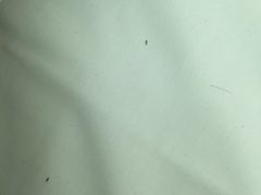-红茶馆(油麻地店)