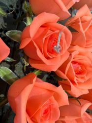 -I Do(重庆龙湖北城天街购物广场店)