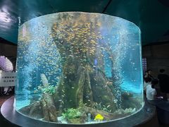 -合肥海洋世界