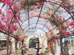 -The Grounds of Alexandria