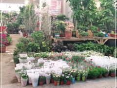 -双季花艺园艺市场(浦东店)