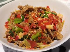 鸭掌筋-壹盏灯(惠农店)