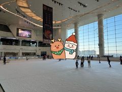 -世纪星滑冰俱乐部(万象城店)