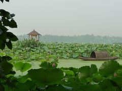 -白鹭湾湿地公园