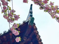 -荆州博物馆
