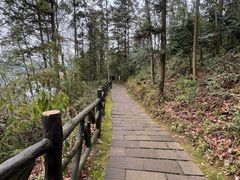 -酒仙湖景区