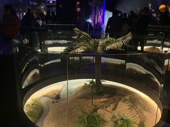 -贝林大翅鲸简餐厅(国家海洋博物馆店)