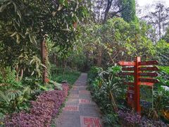 -广西壮族自治区药用植物园
