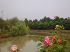 -柳鹭田园区