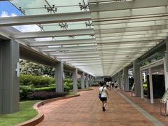 -香港大学