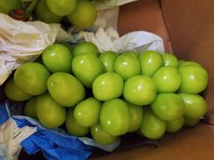 -城南综合水果批发市场(花园路店)