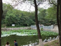 -高尔山公园