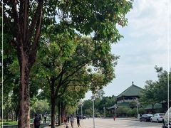 -顺峰山公园