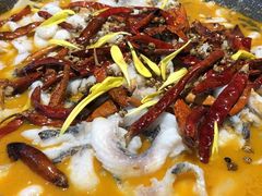 麻辣老坛酸菜鱼-山城外·非遗酸菜鱼(蜀都万达店)