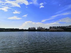 -上海长兴岛郊野公园