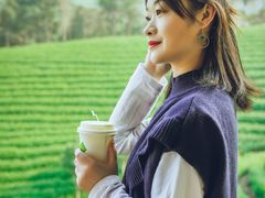 -白茶原·一片叶子