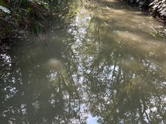 -上海滨江森林公园