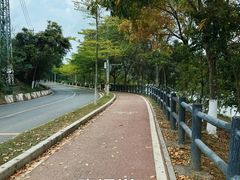-凤岗南门山森林公园