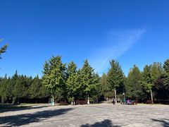 -东升八家郊野公园