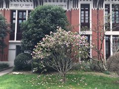 景点-瑞金医院-院史陈列馆