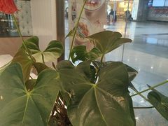 -康师傅私房牛肉面(申虹店)