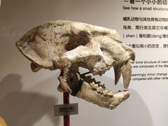 -正佳自然科学博物馆