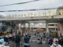 -上海市松江区九里亭外国语实验学校
