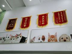 -爱侣宠医·鹦鹉专科·小型哺乳类·异宠专科(灵石路店)