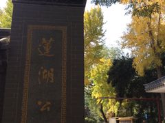 -莲湖公园