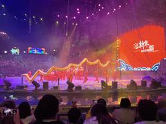 -广州长隆国际大马戏