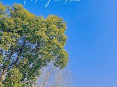 -广富林郊野公园