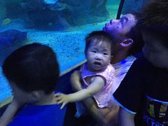 -左海海底世界