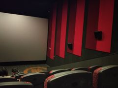 -上影国际影城(普陀绿地缤纷城店)