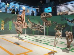 -国家自然博物馆