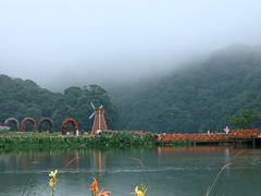 -广州市石门国家森林公园