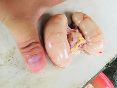 11斤大公鸡的鸡肾-尹三姐农家乐