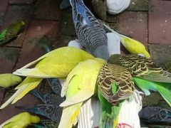 -水濂山森林公园